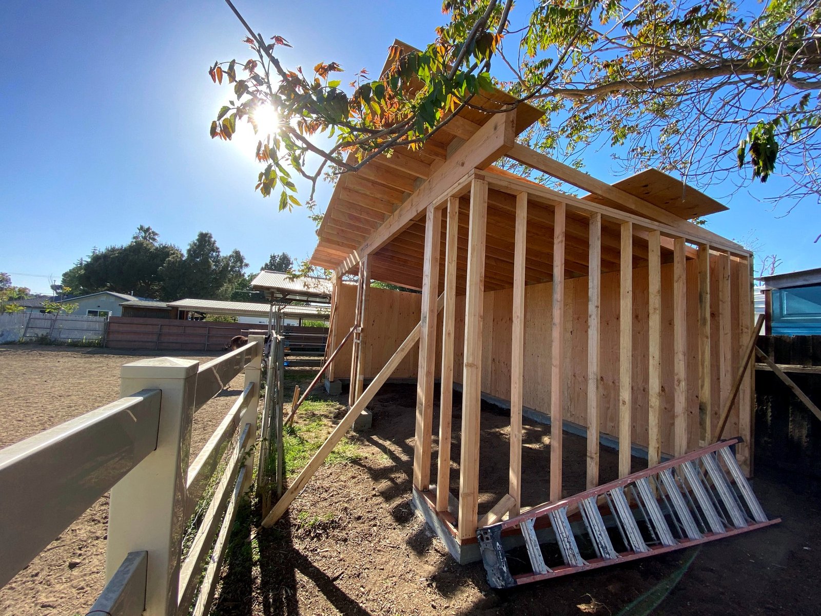 Roof framing and overhang under construction on the donkey barn