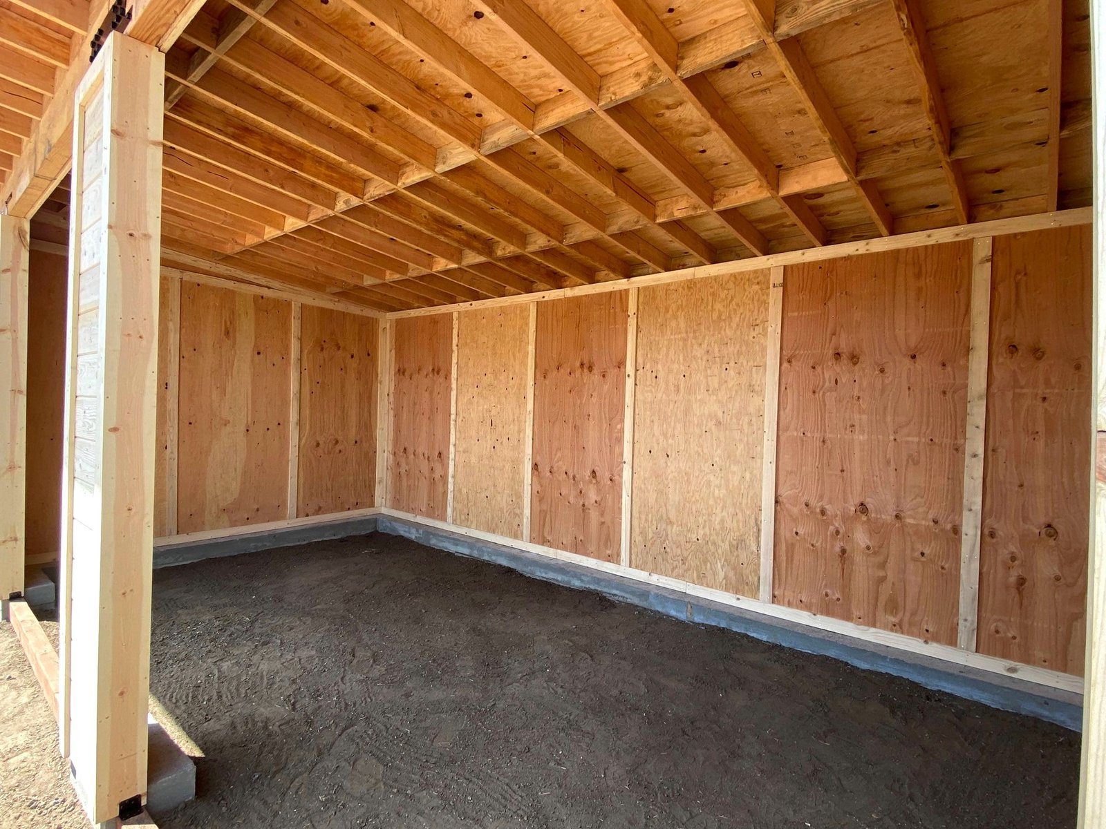 Interior walls and roof framing inside the custom donkey barn